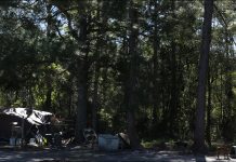 A couple’s decision to move rests on love for their canine companions